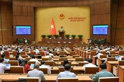 Xử lý nghiêm các trường hợp vi phạm, cản trở làm chậm tiến độ giao vốn, giải ngân vốn