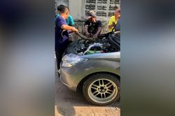 Giải cứu thằn lằn mắc kẹt trong động cơ ô tô