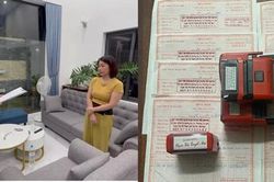 Khởi tố nữ giám đốc mua bán trái phép hóa đơn với giá trị hơn 400 tỷ đồng