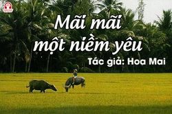 Tản văn hay: Mãi mãi một niềm yêu
