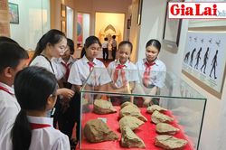 Bảo vật quốc gia Sưu tập công cụ sơ kỳ Đá cũ An Khê: Ghi dấu mốc mở đầu của lịch sử Việt Nam
