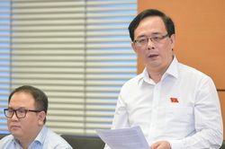Nên quy định rõ quyền, nghĩa vụ của chi nhánh doanh nghiệp đấu giá
