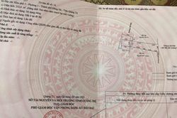 Bắt người phụ nữ dùng sổ đỏ giả để cầm cố vay 200 triệu đồng