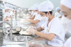 Chuẩn bị xuất khẩu lô tổ yến đầu tiên sang Trung Quốc