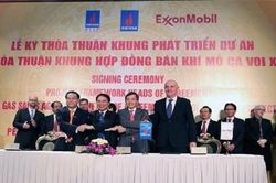 Chuỗi khí điện Cá Voi Xanh vẫn trì trệ
