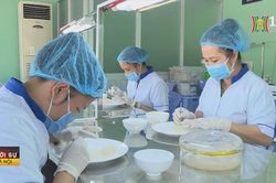 Doanh nghiệp Việt Nam được xuất khẩu tổ yến sang Trung Quốc