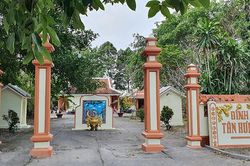Bến Tre có thêm cây di sản Việt Nam