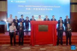 Trung Quốc, ASEAN đẩy mạnh hợp tác phát triển ngành rong biển