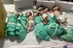 Bị Israel bao vây, hai bệnh viện lớn nhất Dải Gaza dừng nhận bệnh nhân