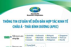 Thông tin cơ bản về Diễn đàn Hợp tác kinh tế châu Á - Thái Bình Dương (APEC)