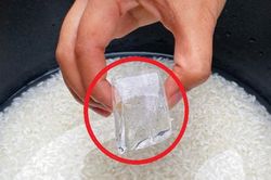 Bỏ 2 viên đá lạnh vào nồi cơm: Ai cũng ngạc nhiên về kết quả