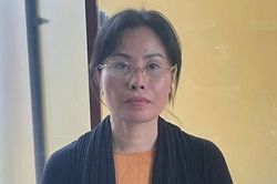 TPHCM: Bắt Võ Thị Hà trong vụ 'Lừa đảo chiếm đoạt tài sản' gần 90 tỷ đồng