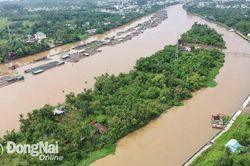 Dự kiến hoàn thành di dời các lồng, bè nuôi cá trong khu vực thi công cầu Thống Nhất vào ngày 15-11