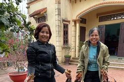 Nuôi gà, vịt, ngan bằng bèo tây