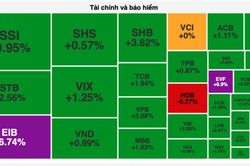 Cổ phiếu 'vua' kéo thị trường