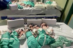 Những đứa trẻ sinh non gặp nguy hiểm tại bệnh viện ở Gaza