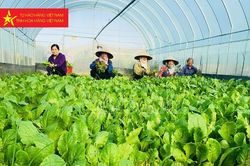 Các cấp Hội LHPN Thủ đô chung tay quảng bá sản phẩm nông nghiệp, sản phẩm OCOP của phụ nữ