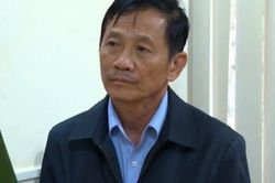 Khởi tố Tổng giám đốc Công ty Cao su Sơn La
