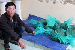 Bắt quả tang đối tượng vận chuyển trái phép 10 con khỉ đuôi dài