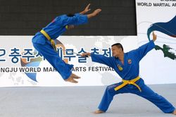 Vovinam và con đường trở thành Di sản quốc gia