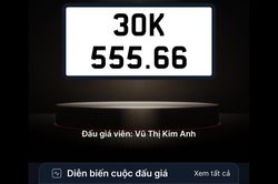 Đấu giá biển số sáng 15/11: Biển tam hoa của Hà Nội được trả hơn 800 triệu đồng