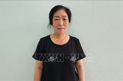 Bắt giam nữ thủ quỹ tham ô hơn 1,5 tỷ đồng