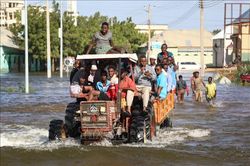 LHQ cảnh báo 25% dân số Somalia có nguy cơ lâm vào nạn đói