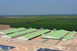 Công ty thứ 2 của ông Trương Sỹ Bá lên sàn chứng khoán