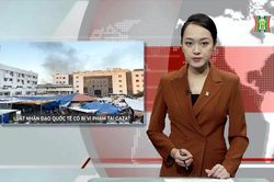 Luật nhân đạo quốc tế tại Gaza có bị vi phạm?| Nhìn ra thế giới| 15/11/2023