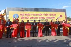 Công bố xuất khẩu lô sản phẩm tổ yến đầu tiên của Việt Nam
