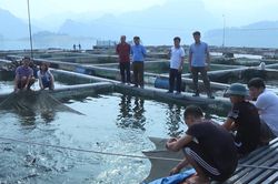 Tuyên Quang triển khai đồng bộ các giải pháp để giảm nghèo bền vững