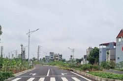 Hàng trăm lô đất đấu giá bị ế chỏng chơ, bỏ cọc hàng loạt: Vì sao?