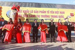 Lô sản phẩm tổ yến đầu tiên chính thức xuất khẩu sang thị trường Trung Quốc
