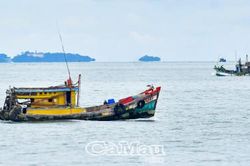 Xử lý nghiêm hành vi khai thác tận diệt
