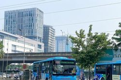 Chuyên gia: Lái xe cũng cần tăng lương vì yếu tố độc hại