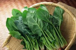 Cải bó xôi có tác dụng gì?