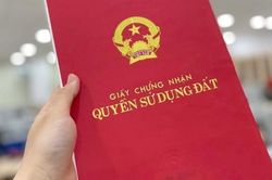 Bắc Giang: Thu hồi 'sổ đỏ' cấp sai liên quan hành lang giao thông Quốc lộ 31 tại huyện Lạng Giang