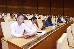 Ủy ban Thường vụ Quốc hội: Sẽ chất vấn việc thực hiện lời hứa tại phiên họp tháng 8-2024