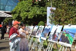 Trải nghiệm văn hóa 'Về miền di sản biển Đà Nẵng'
