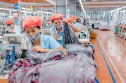 May Sông Hồng (MSH) dự chi gần 188 tỷ tạm ứng cổ tức 2023