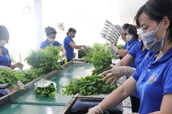 Tiên phong trong chuyển đổi số