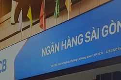 Vụ Vạn Thịnh Phát: Nhiều cán bộ Thanh tra bị đề nghị truy tố