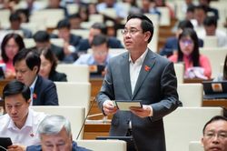 Đề xuất đưa dạy thêm, học thêm vào danh mục ngành nghề kinh doanh có điều kiện