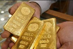 Giá vàng hôm nay 20/11/2023: Neo cao, vàng SJC tiếp tục tăng mạnh