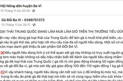 Hội Nông dân huyện Ba Vì hỗ trợ hội viên bán nông sản qua mạng
