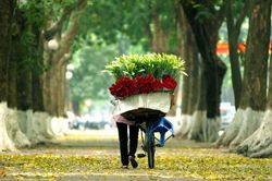Dự báo thời tiết Hà Nội hôm nay 20/11/2023: Hà Nội ngày nắng, đêm không mưa, trời rét
