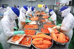 Thỏa thuận Xanh châu Âu: Nông sản, thực phẩm và dệt may cần nắm bắt cơ hội 'người đi trước'