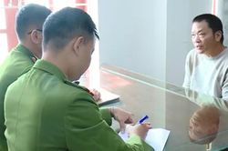 Bắt đối tượng 'bảo kê' thu mua cây gỗ keo