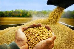 Đề xuất 2 phương án thuế nhập khẩu khô dầu đậu tương