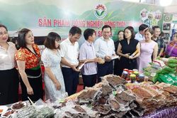 Chương trình OCOP tác động tích cực đến phát triển kinh tế nông thôn